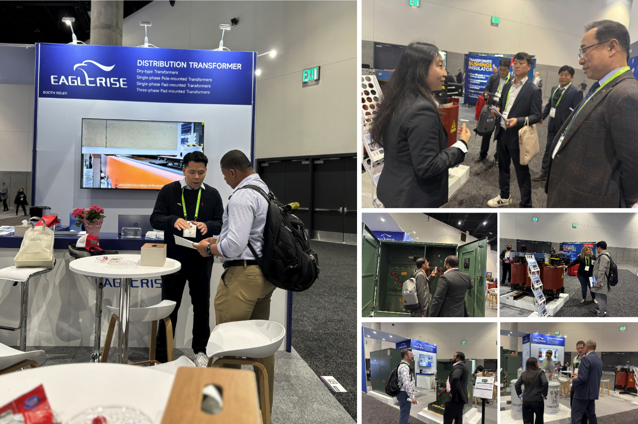伊戈?duì)柫料嗝绹?guó)輸配電展